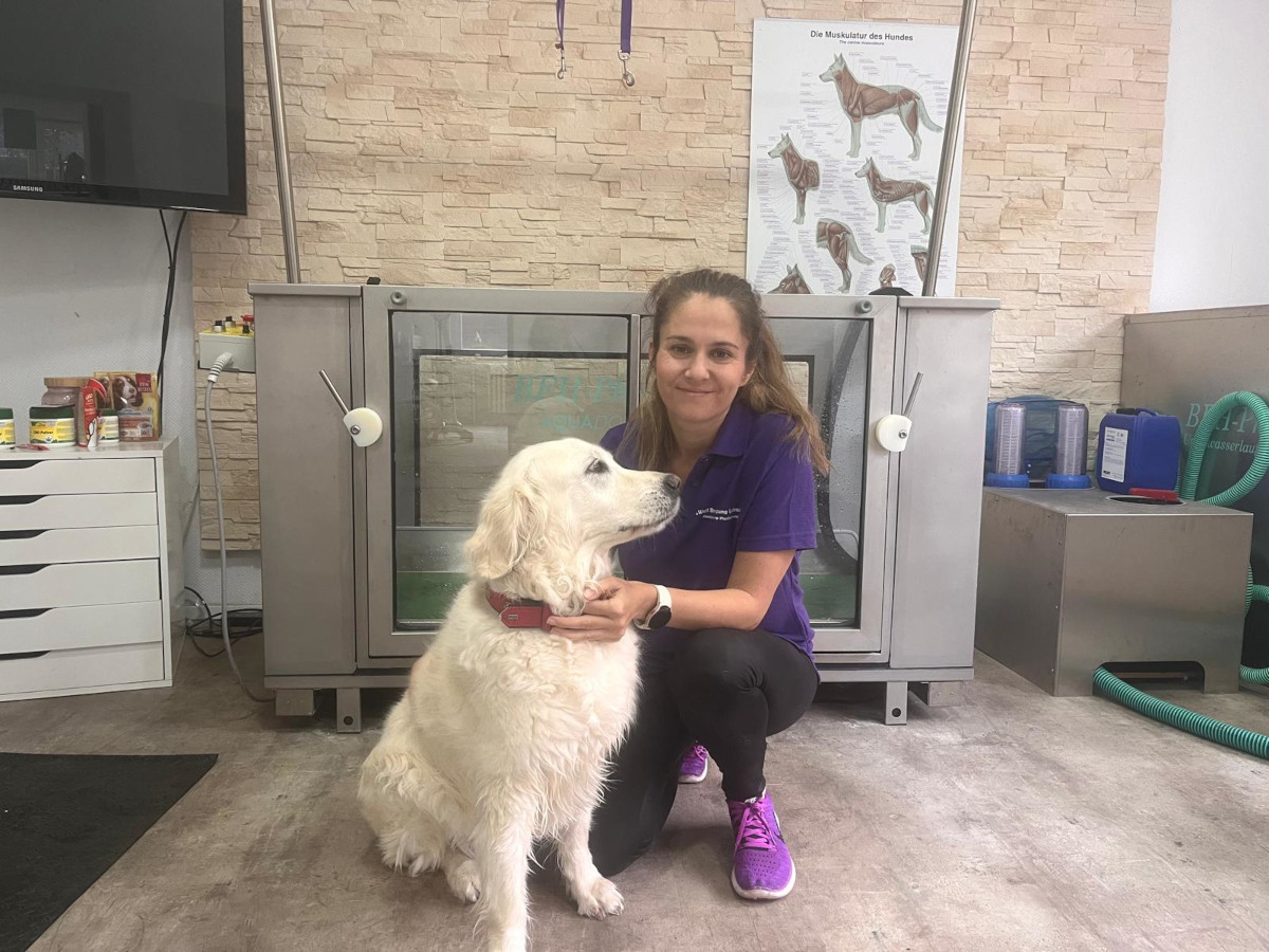 Hunde-Expertin klärt über Irrglauben von Haltern auf – es drohen heftige Folgen