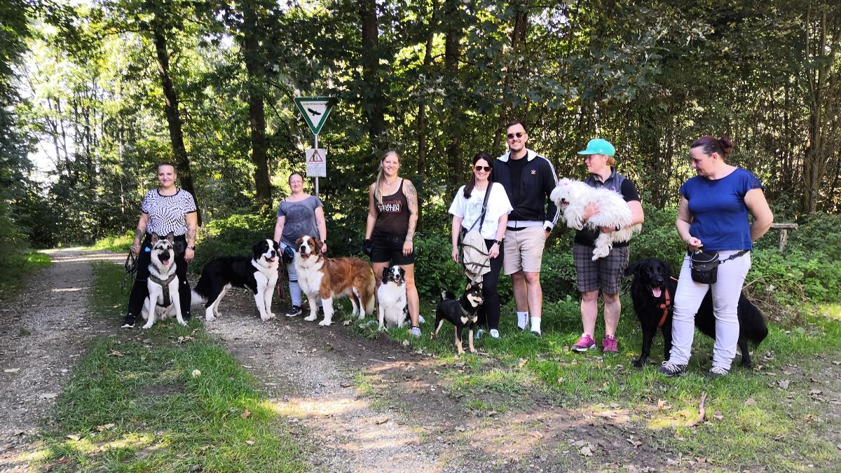 Damit der Spaziergang mit dem Hund nicht zum Desaster wird