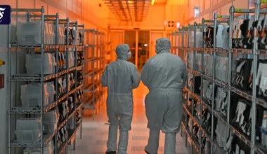 Autohersteller zittern vor dem nächsten Chip-Engpass - FAZ