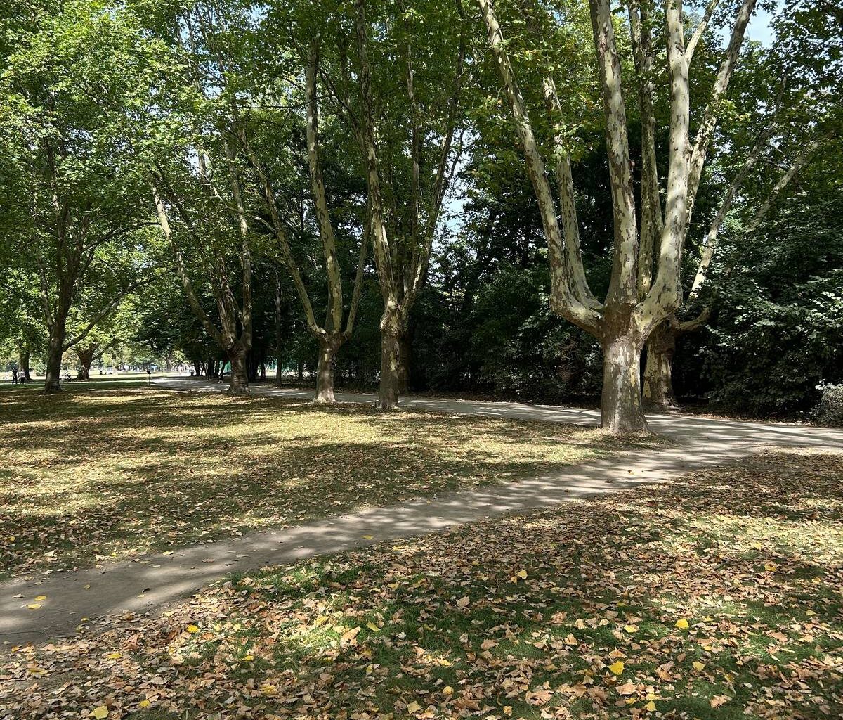 Neue Parkanlage in Porz eröffnet