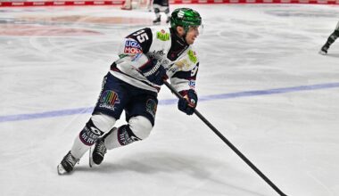 Adler Mannheim souverän in DEL: Meister Eisbären Berlin stoppt erstaunliche Pleiten-Serie