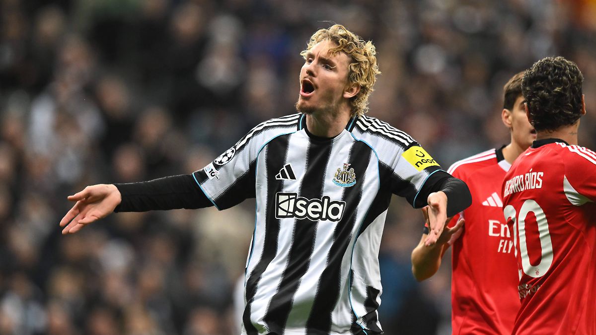 PSV Eindhoven zerpflückt Neapel: Newcastle braucht Woltemade nicht, Arsenal deklassiert Atlético