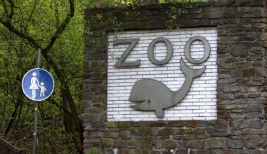 Zoo Duisburg macht es offiziell - es passiert in der Dunkelheit