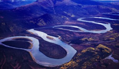 "Mine, baby, mine" in Alaska: Darum baut Trump eine Megastraße in die unberührte Wildnis