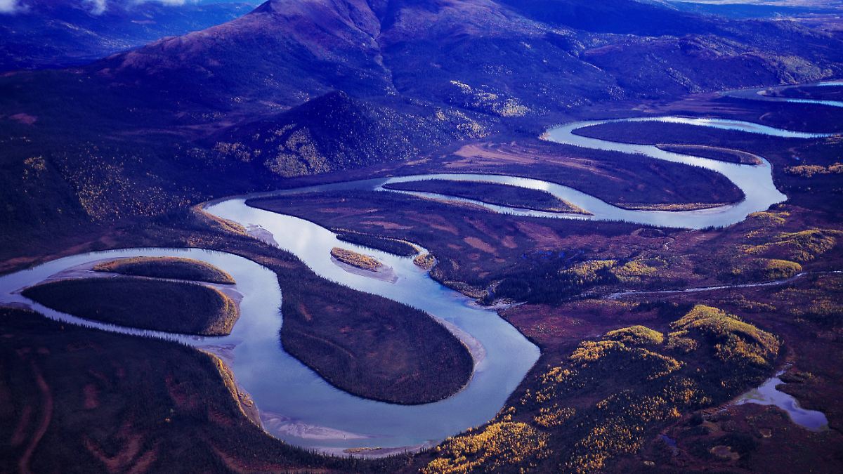"Mine, baby, mine" in Alaska: Darum baut Trump eine Megastraße in die unberührte Wildnis