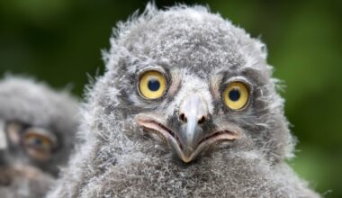 Diese Zahlen dürften im Zoo Hannover für große Augen sorgen. (Archivbild)