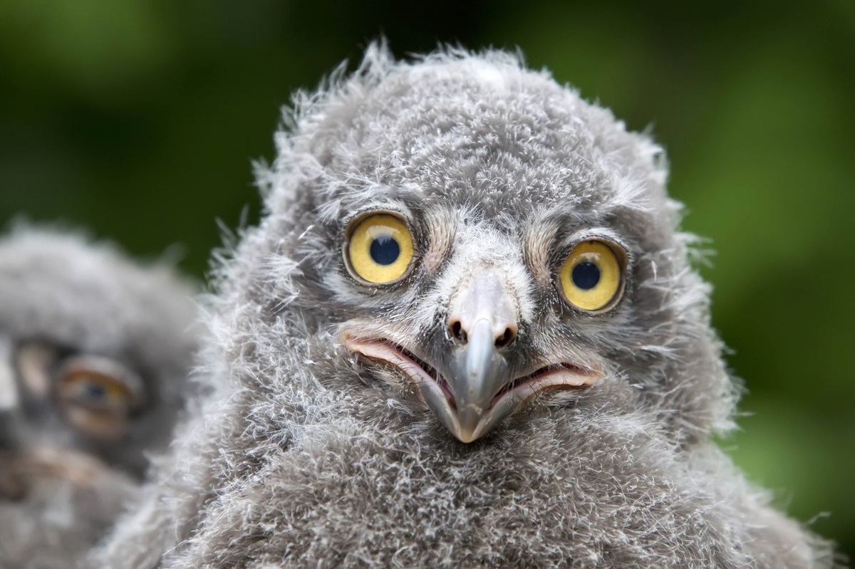 Diese Zahlen dürften im Zoo Hannover für große Augen sorgen. (Archivbild)