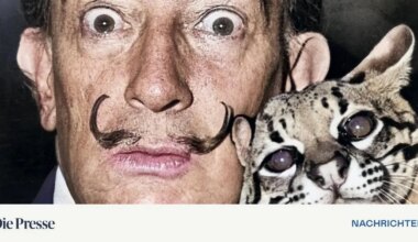 21 gefälschte Dalí-Werke bei Ausstellung beschlagnahmt – DiePresse.com