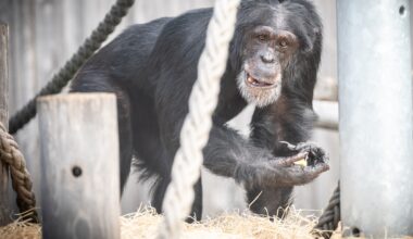 Zoo in NRW muss Bereich sperren – mit Auswirkungen auf deinen Besuch