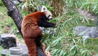 Zoo Leipzig: Neue Regeln! "Beim Futter hört der Spaß auf"
