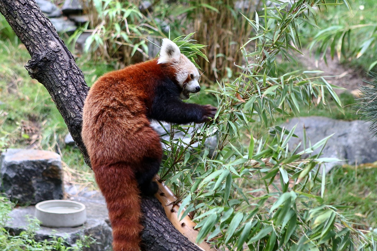 Zoo Leipzig: Neue Regeln! "Beim Futter hört der Spaß auf"