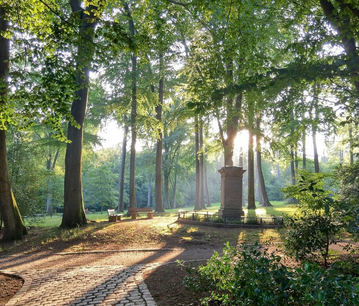 Teich-Entschlammung im Mirker Hain - Radio Wuppertal