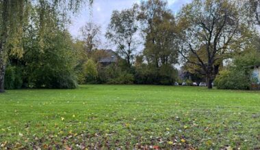 Parkplatznot in Essen - Streit über Parkflächen auf der Margarethenhöhe