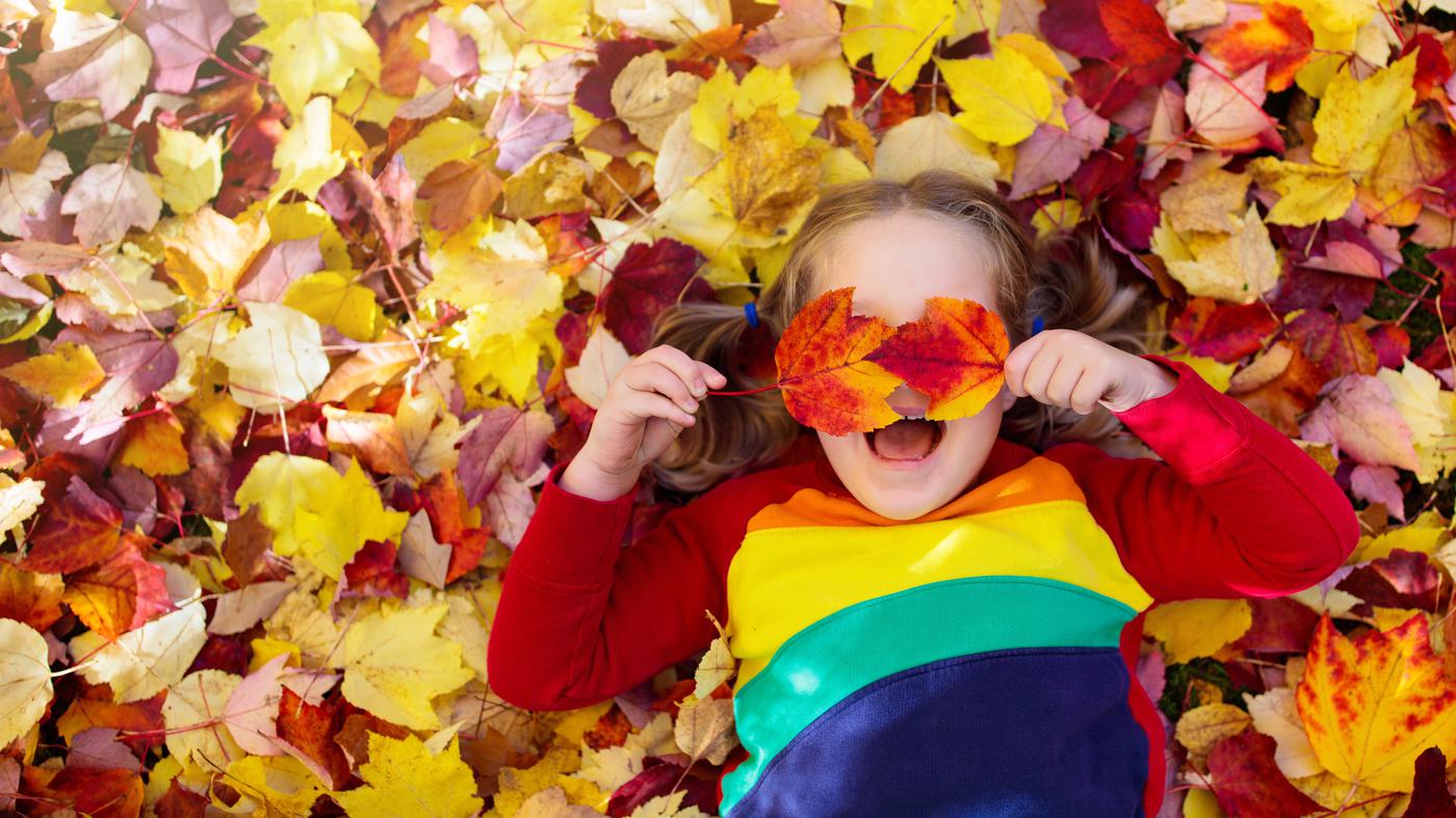 Zehn Tipps für die zweite Herbstferienwoche in Berlin