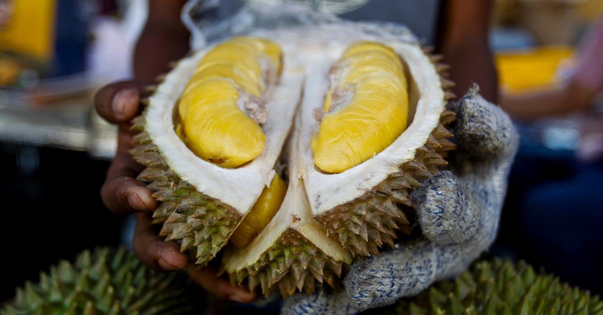 Stink-Frucht hält Feuerwehr in Wiesbaden auf Trab