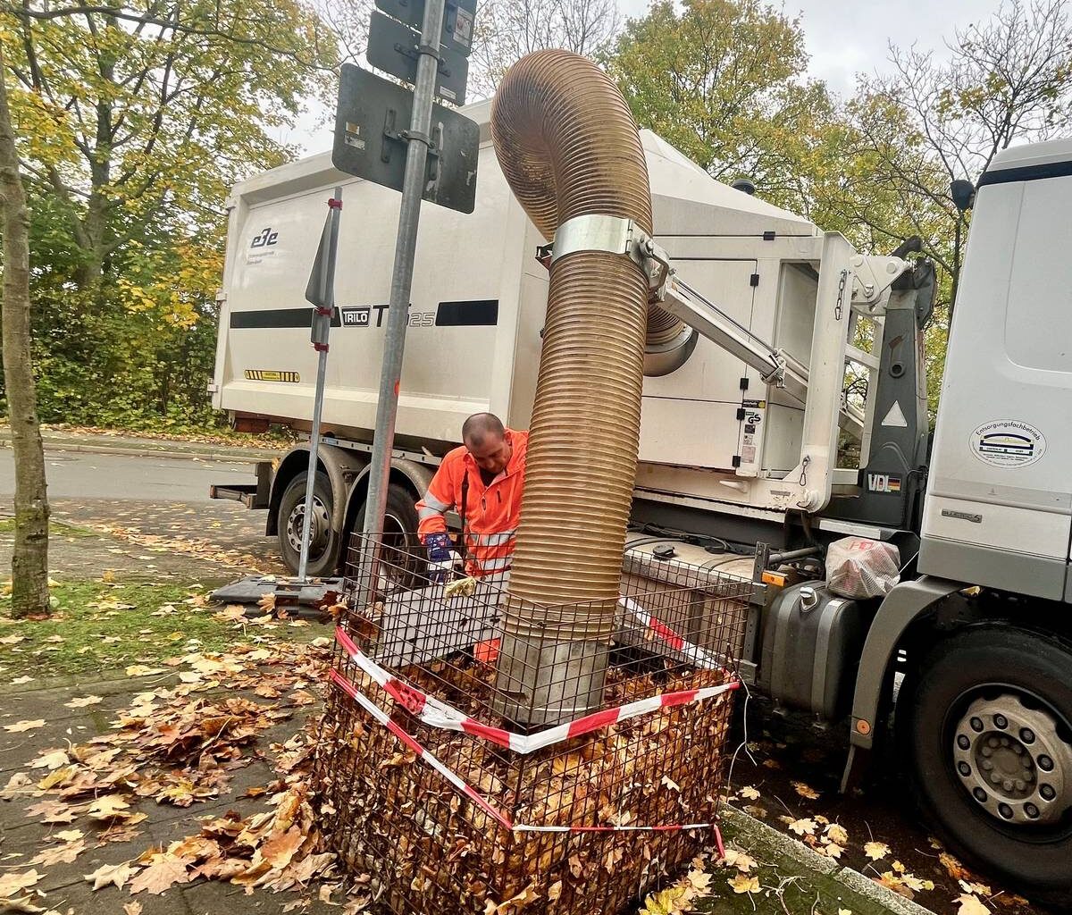 Herbst in Essen: So wird das Laub entsorgt