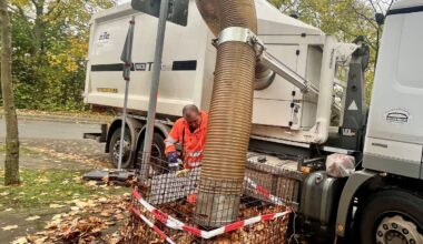 Herbst in Essen: So wird das Laub entsorgt