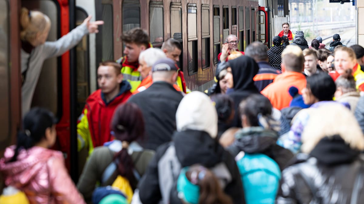Wenn ungarische Staatsbürger als Ukraine-Flüchtlinge nach Deutschland einreisen