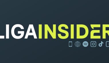 Augsburg und Ulm trennen sich im Test 1:1