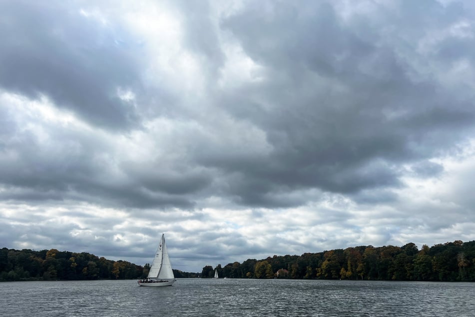 Über der Havel und der Berliner Pfaueninsel stehen dichte Wolken. (Archivbild)