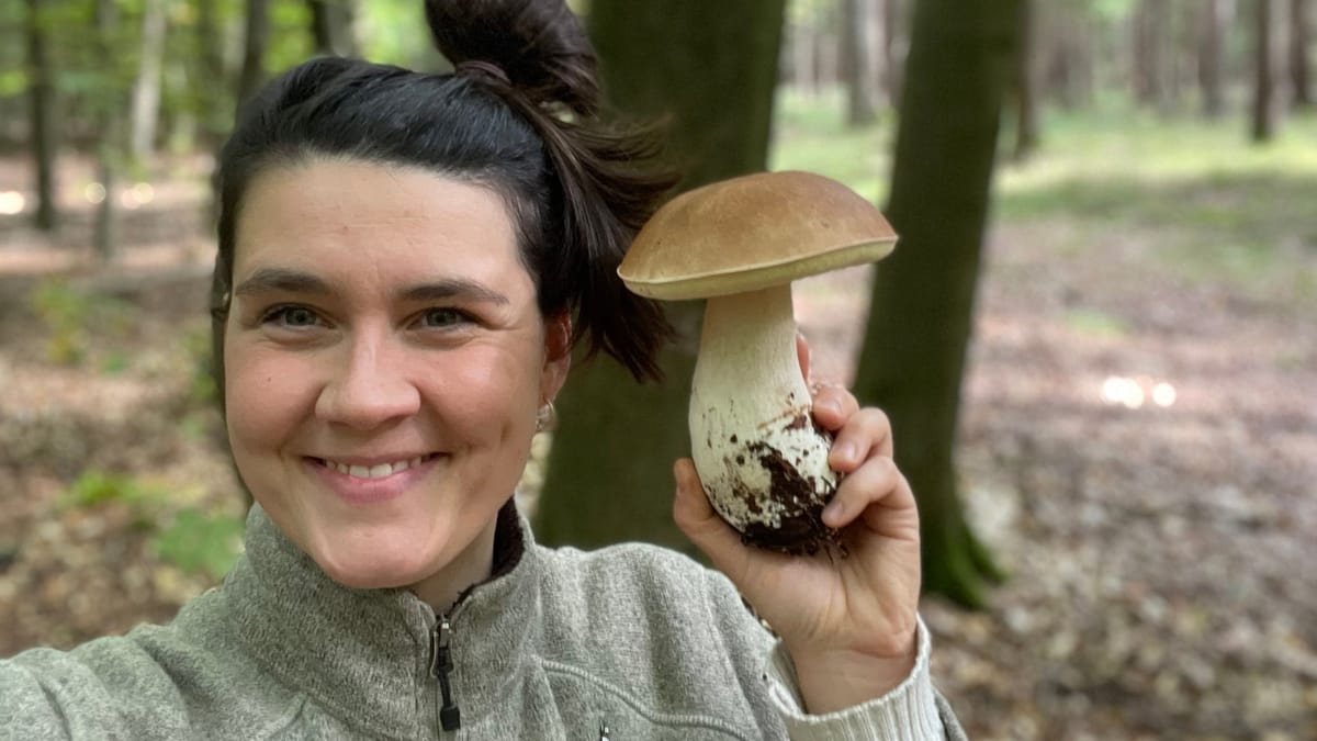 Teilweise bewölkt