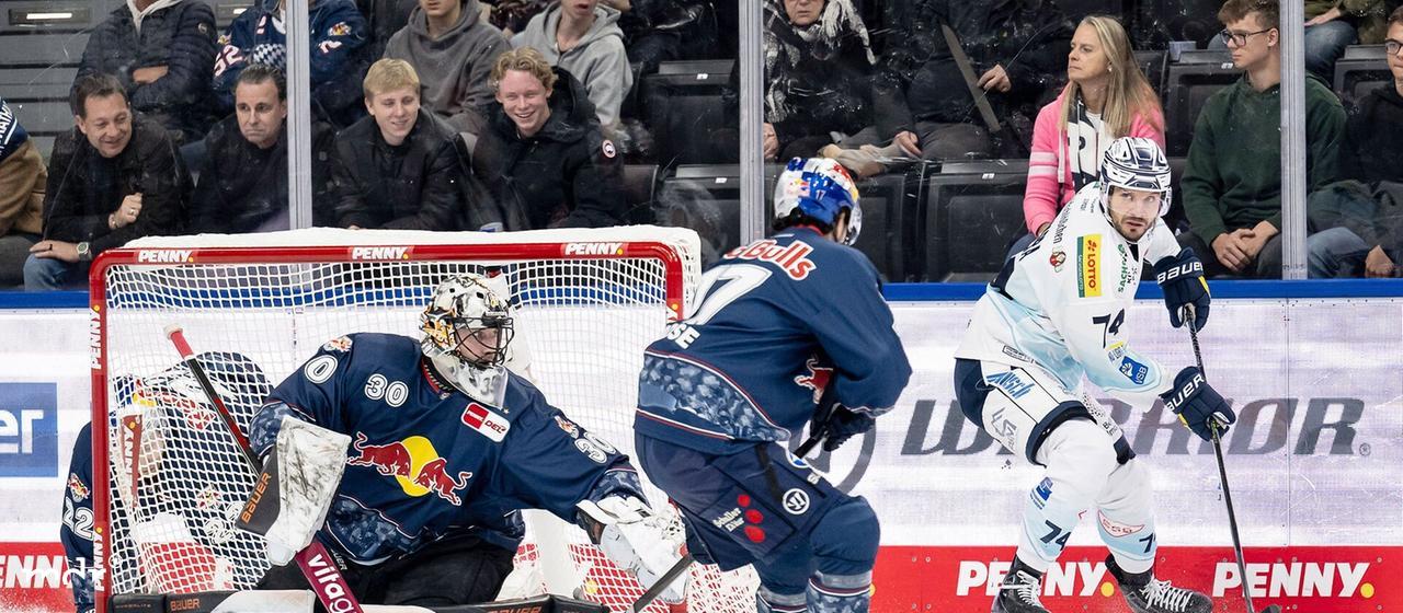 Die Eislöwen kamen am starken RB-Goalie Antoine Bibeau nur einmal vorbei.  | IMAGO/Eibner Taro Hirose EHC Red Bull München, 17 verteidigt gegen Thomas Sykora Dresdner Eislöwen, 74 vor dem Tor von Antoine Bibeau Torwart, EHC Red Bull München, 30 GER.