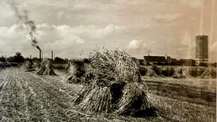 Kornwestheim: Vorträge und Publikationen zum Rathausjubiläum