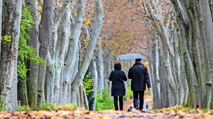 Wetter in Stuttgart: Regnerischer Wochenstart – das sind die Aussichten