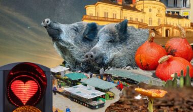 Dating in Stuttgart: It’s a match: Date-Ideen für den Herbst