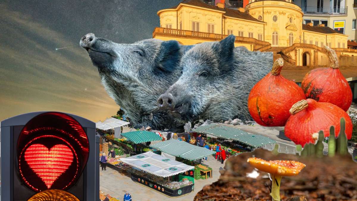 Dating in Stuttgart: It’s a match: Date-Ideen für den Herbst