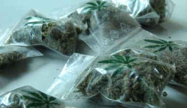 Hauptbahnhof in Stuttgart: Polizei nimmt mutmaßliche Drogendealer fest - Stuttgart