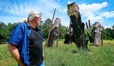 Leonberger Stuttgart-21-Monument: Kunstwerk aus S-21-Bäumen geschreddert? Künstler zeigt OB Cohn an