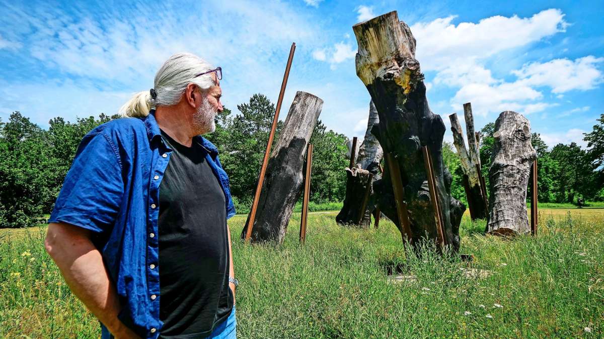 Leonberger Stuttgart-21-Monument: Kunstwerk aus S-21-Bäumen geschreddert? Künstler zeigt OB Cohn an