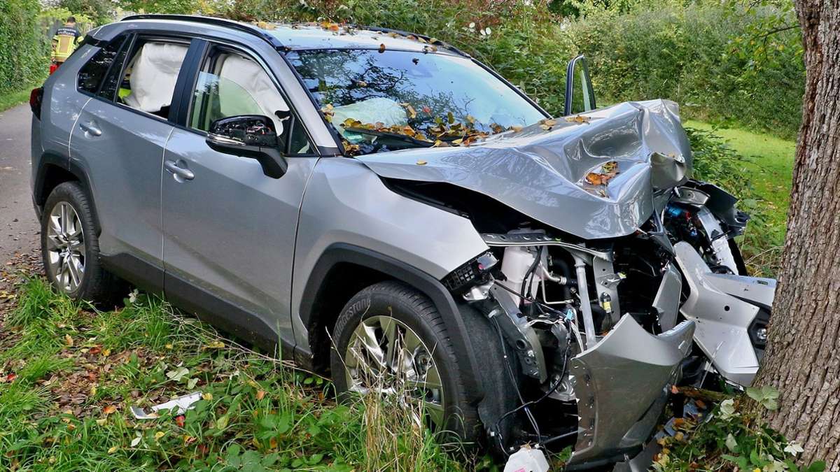 Unfall in Stuttgart-Stammheim: SUV kommt von Straße ab und prallt gegen Baum – eine Verletzte - Startseite
