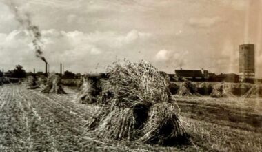 Kornwestheim: Vorträge und Publikationen zum Rathausjubiläum