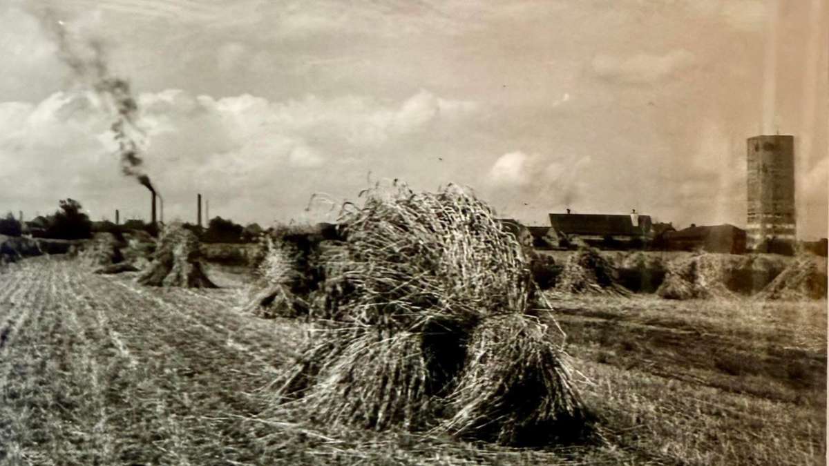 Kornwestheim: Vorträge und Publikationen zum Rathausjubiläum