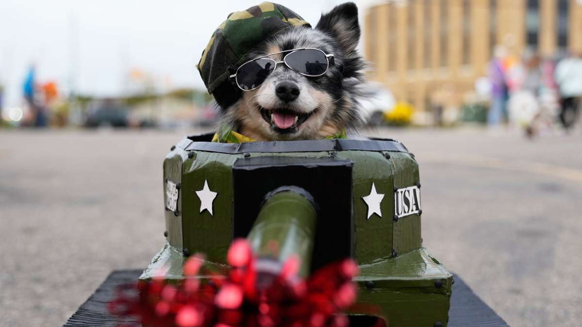 Deutschland: Bilder des Tages - Unterhaltung