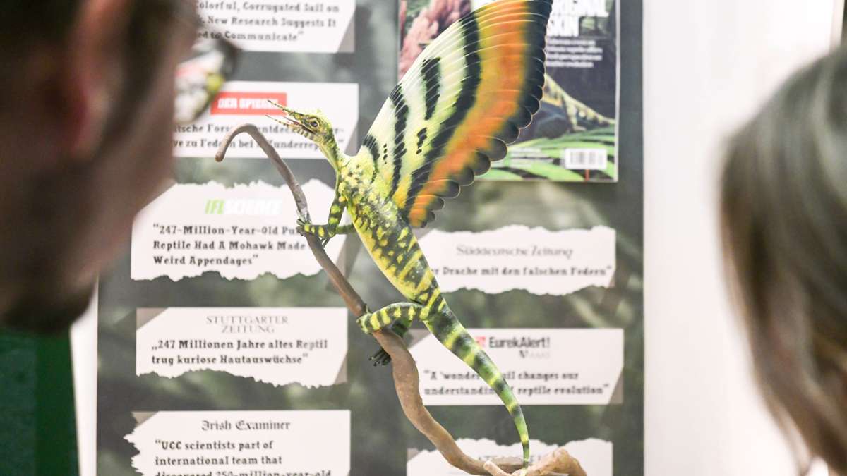 Löwentormuseum in Stuttgart: Ausstellung in Stuttgart: Weltpremiere für den Wundersaurier