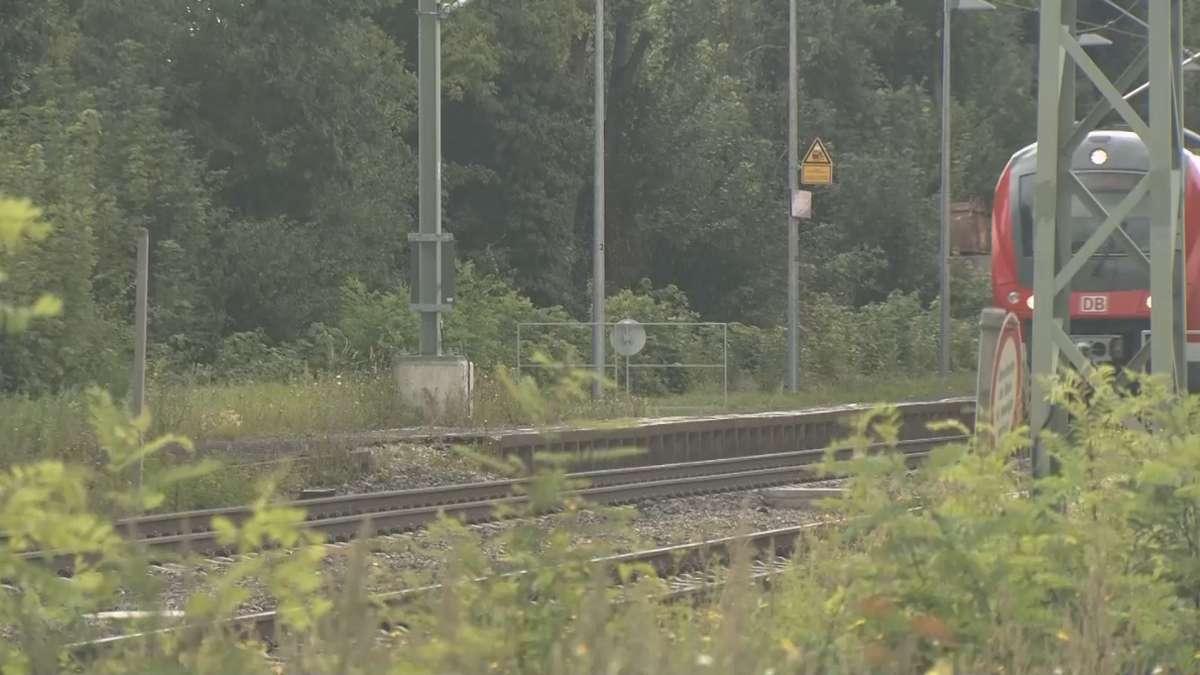 Umfassende Anpassungen für Nah- und Fernverkehr