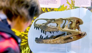 Ausstellungen für Kinder: Ferienzeit – Zeit fürs Museum
