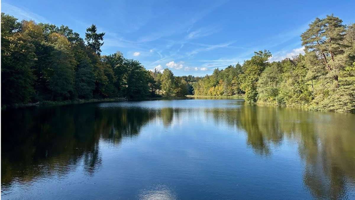 Stuttgarter Naherholungsziel: Der Bärensee ist wieder da