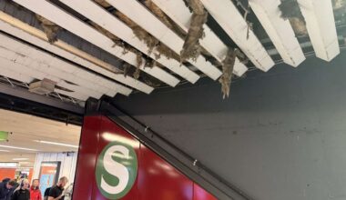 Hauptbahnhof Stuttgart: Nistende Tiere zerstören Decke der Klett-Passage - Stuttgart