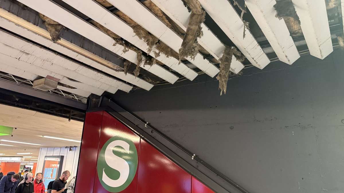 Hauptbahnhof Stuttgart: Nistende Tiere zerstören Decke der Klett-Passage - Stuttgart