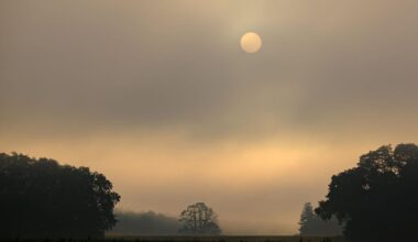 Wetter: Viele Wolken, kaum Regen: Wochenende in der Hauptstadtregion