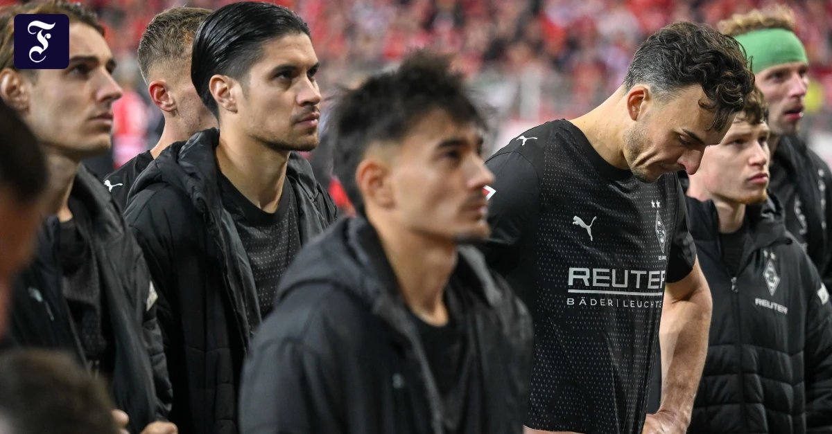 Borussia Mönchengladbach in Bundesliga: Das sagt Schröder zu Trainer Polanski