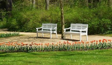 Neue Bänke zur Verbesserung der Aufenthaltsqualität