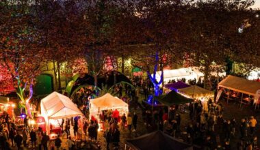 Novemberlichter wieder an drei Tagen