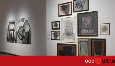 Künstlerehepaar Riedl im Schlossmuseum - ooe.ORF.at