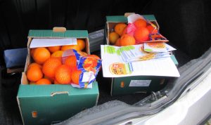 njuuz - Orangenaktion Januar 2026