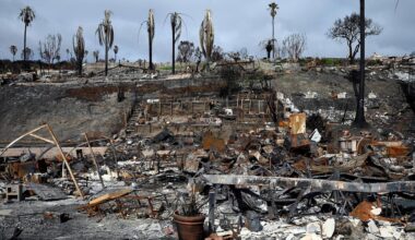 Mutmaßlicher Pacific-Palisades-Brandstifter festgenommen | tagesschau.de